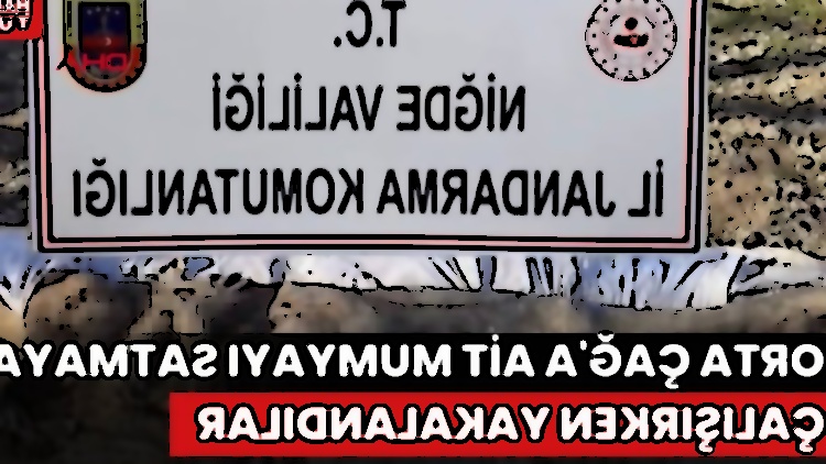 image not found
